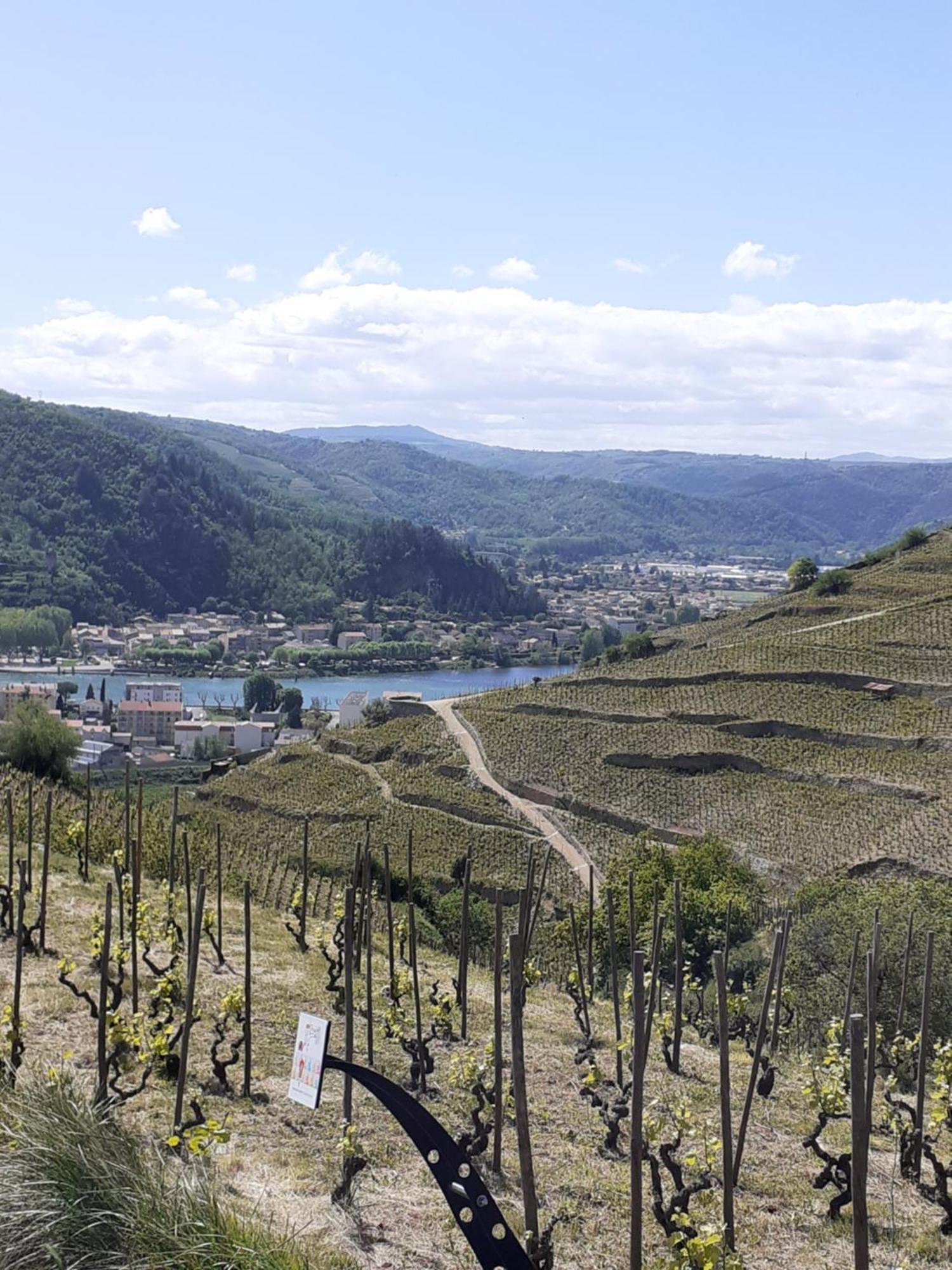 Gite Du Vigneron A La Terrasse Piscine Local Velos Tournon-sur-Rhone Ngoại thất bức ảnh